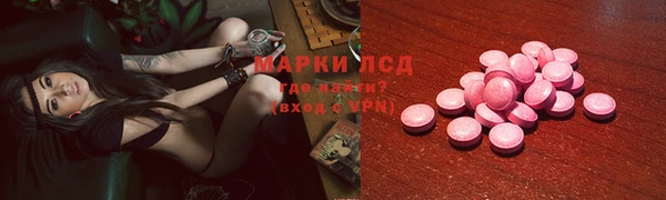 a pvp Алзамай